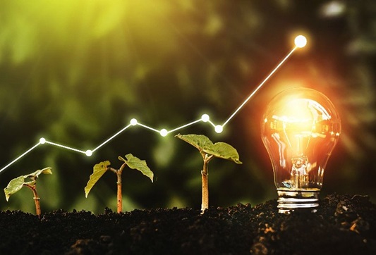 economic sustainability examples